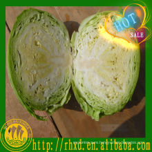 chinese fresh cabbage market price